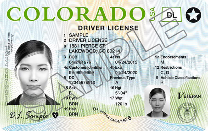 Drivers License