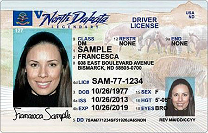 Drivers License Number Lookup Mn