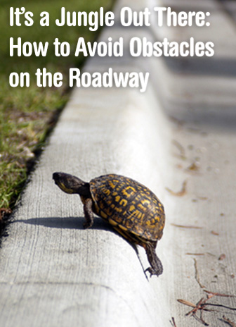It’s a Jungle Out There: How to Avoid Obstacles on the Roadway It’s a Jungle Out There: How to Avoid Obstacles on the Roadway
