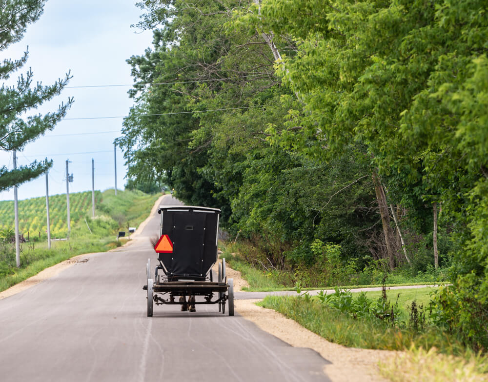 Slow Moving Vehicle Signs - for Bicycles!