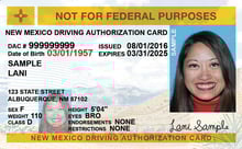 NM MVD driver's license