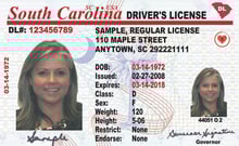 SC DMV driver's license