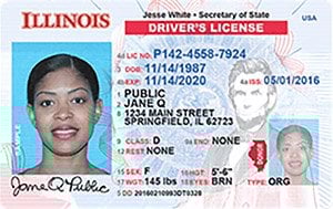 driver's license in Illinois