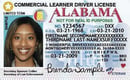 AL commercial driver's license