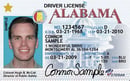 AL DMV driver's license