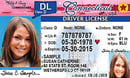 CT DMV driver's license