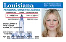 LA OMV driver's license