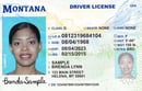MT MVD driver's license