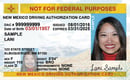 NM commercial driver's license