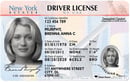 NY DMV driver's license