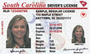 SC DMV driver's license