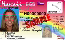 HI DMV driver's license