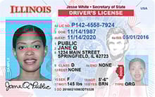 IL DMV driver's license