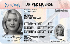 NY DMV driver's license