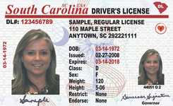 SC DMV driver's license