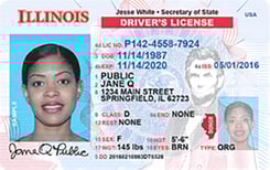IL DMV driver's license