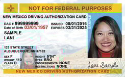 NM MVD driver's license