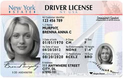 NY DMV driver's license