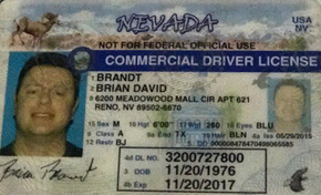 NV commercial driver's license