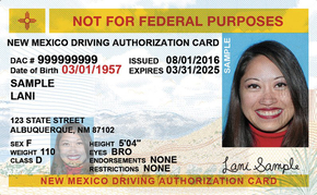 NM commercial driver's license