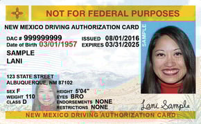 NM commercial driver's license