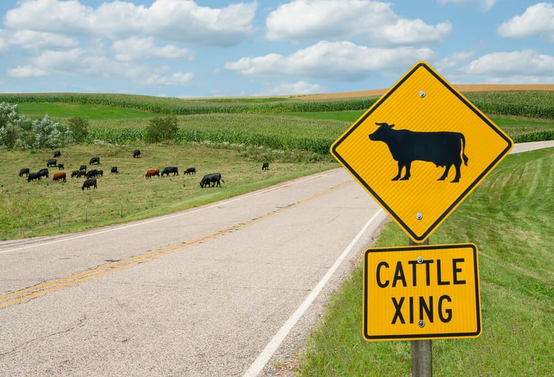 This Is How To Drive on Rural Roads