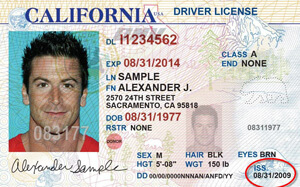 CA commercial driver's license