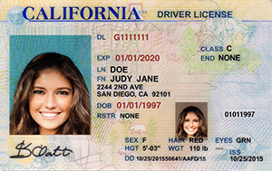 Resident Alien's Boarder Crossing I.D. - Los Angeles Public