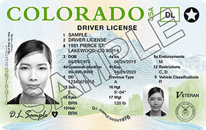 CO DMV driver's license