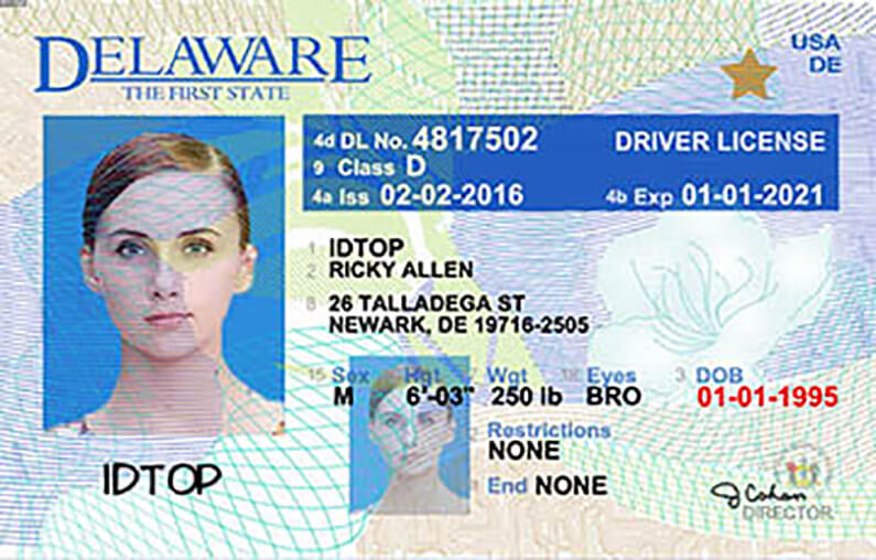 Delaware Driver's License Application and Renewal 2024