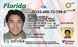 FL commercial driver's license