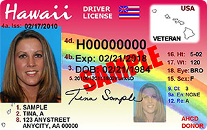 HI DMV driver's license