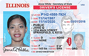 IL DMV driver's license