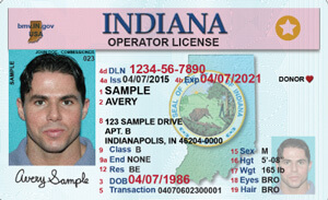 IN commercial driver's license