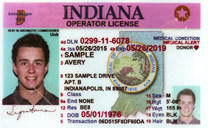 IN BMV driver's license