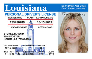 LA OMV driver's license
