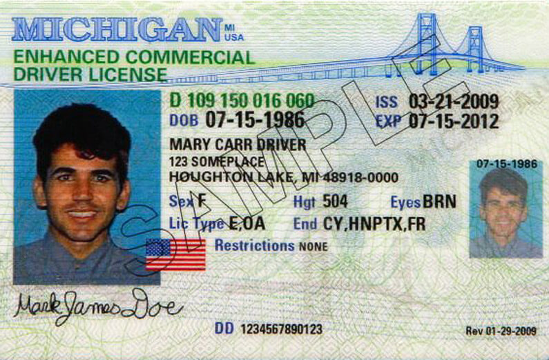 More than 70K Michigan driver's licenses become eligible again