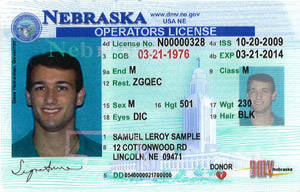 NE DMV driver's license