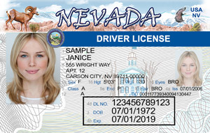 NV DMV driver's license