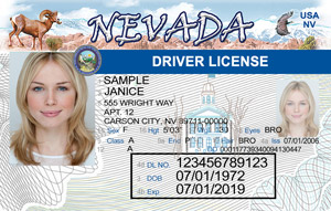 TAM® of Nevada on X: Nevada is rolling out a new design for driver's  licenses and identification cards through July and August, 2021. Have you  seen the new IDs yet? The TAM