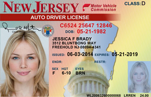 NJ MVC driver's license