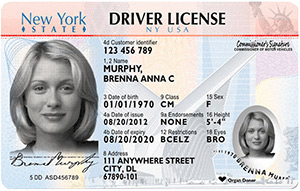 NY DMV driver's license