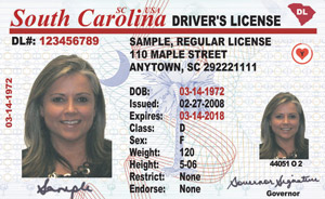 SC DMV driver's license