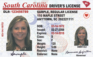 SC DMV driver