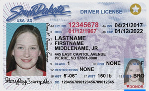 SD DMV driver's license