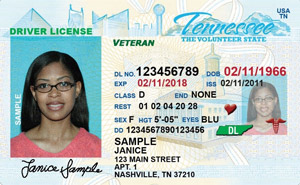TN DMV driver's license