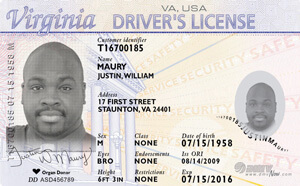 VA DMV driver's license