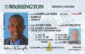 WA DOL driver's license