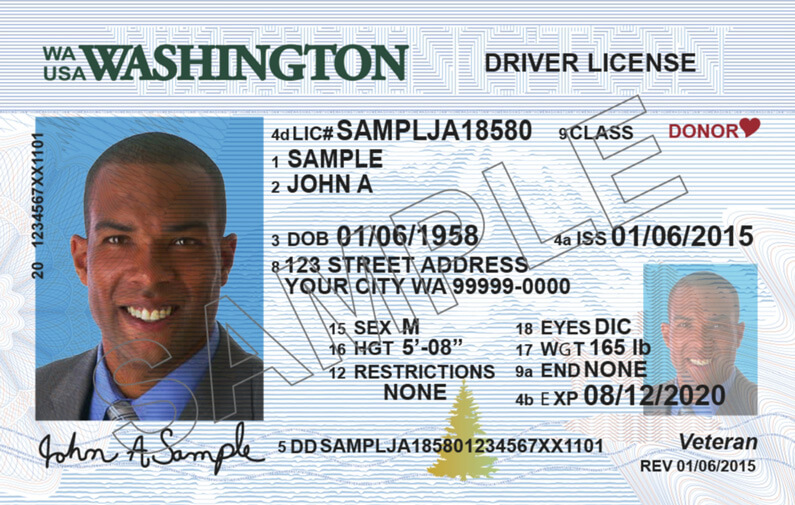 Get Your Driver's License, Drive Testing