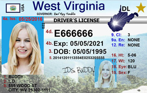 WV DMV driver's license